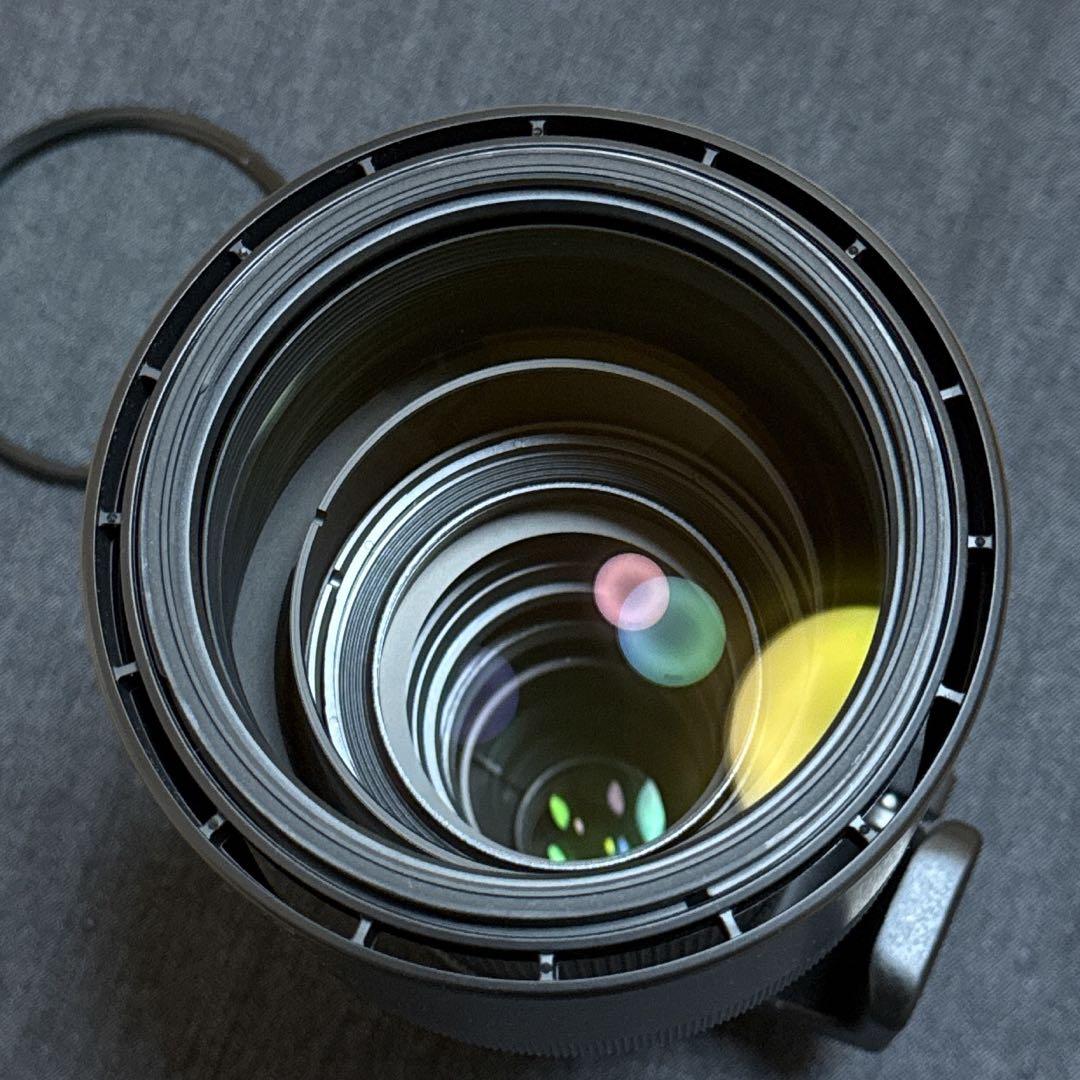 SIGMA150-600mm F5-6.3 DG Contemporaryレンズ