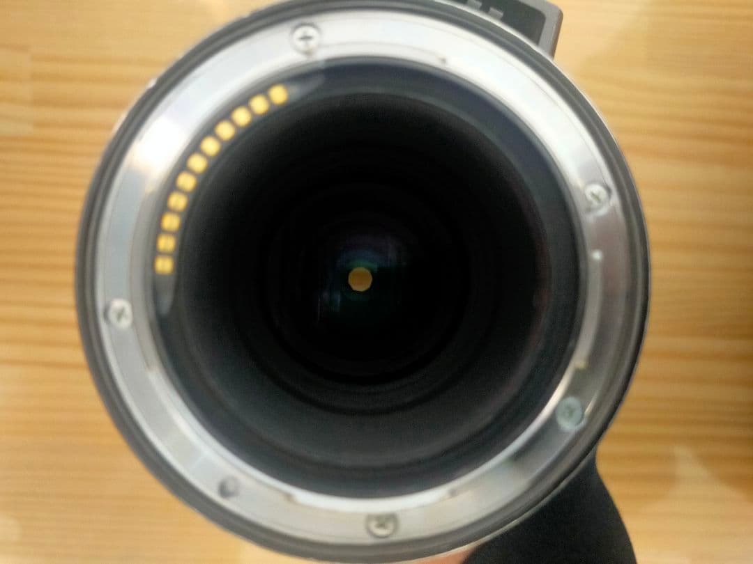Nikon ニコン NIKKOR Z 70-200mm F2.8 VR S