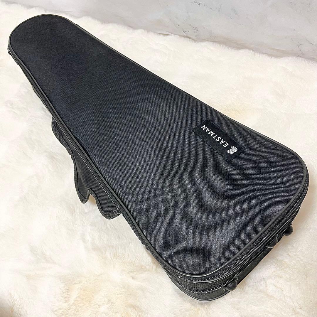 【美品】Andreas Eastman VL80 1/4 バイオリン ケース付