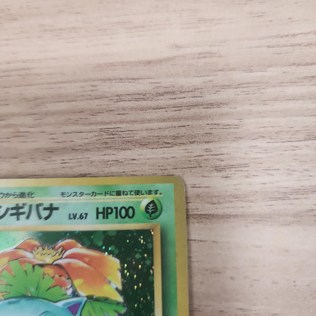枠ズレ　エラーカード　フシギバナ HP100 レベル67 No.003