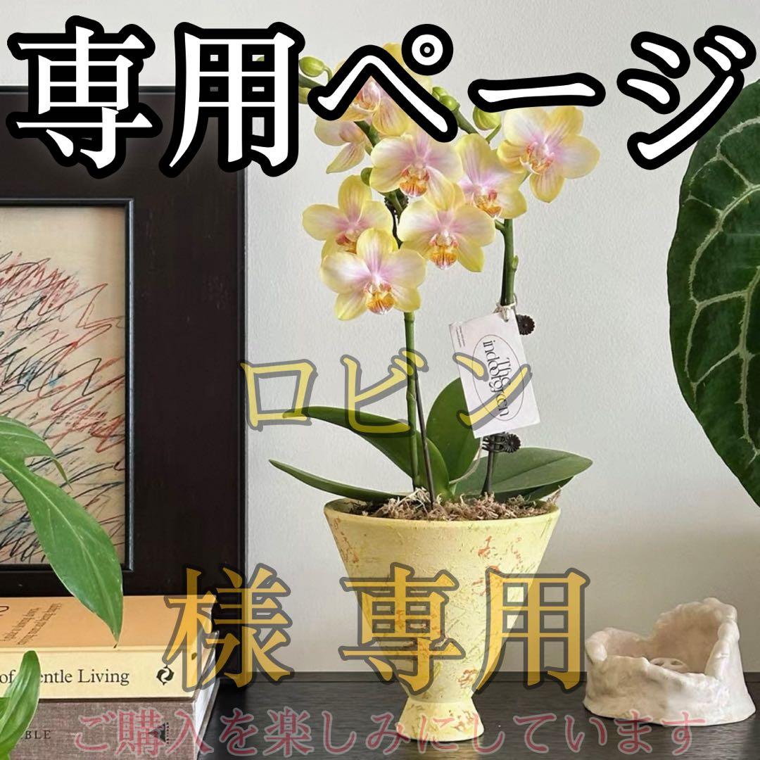 ロビン様 專用