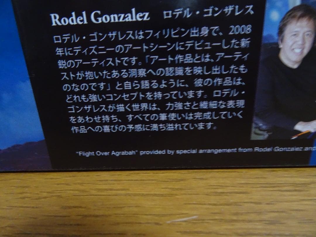 糊付なし。箱＆額縁　ディズニー　アラジン　 フライトオーバー　アグラバーfe12