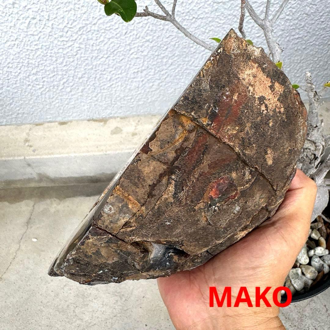 M1961☆カルサイト共生水晶ジオード2.8Kg☆天然石　原石☆N50711