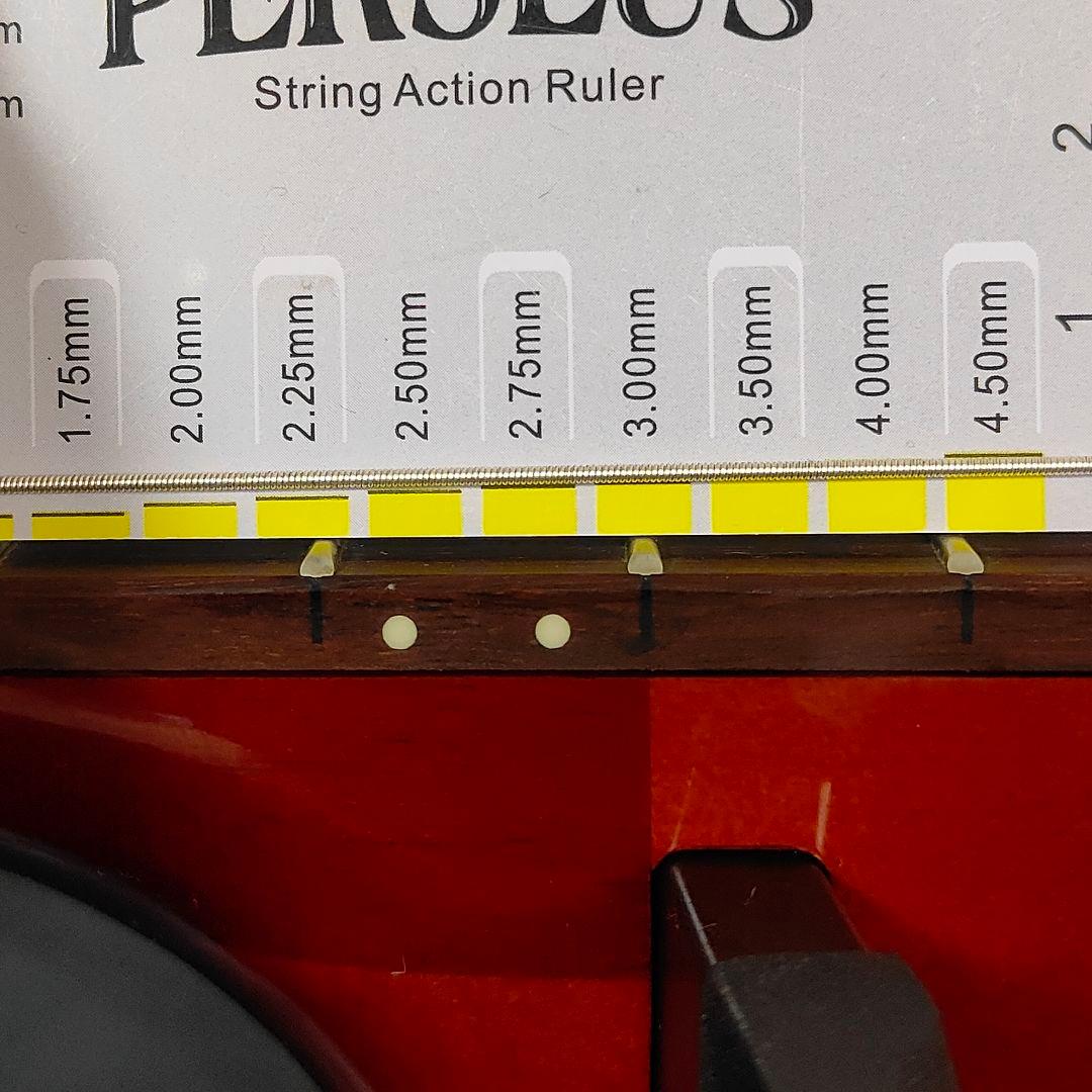 【300本限定】YAMAHA SLG-110N FM サイレントギター フレイム