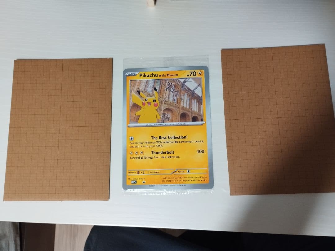 袋付未開封 自然史博物館Pikachu at the Museum 2枚 検品済