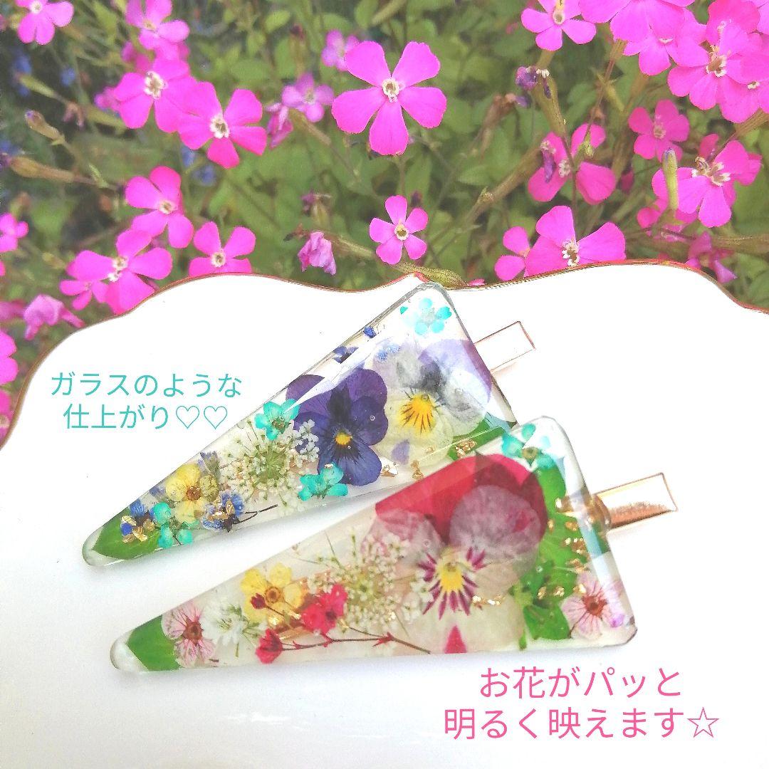 専用レジン液 シエル7本、ツキハナ3本、コーティング剤つき☆