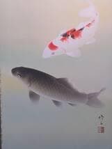 【真作】掛軸　田辺修二　遊鯉　日本画　吉祥画題　長寿繁栄　共箱入　U37