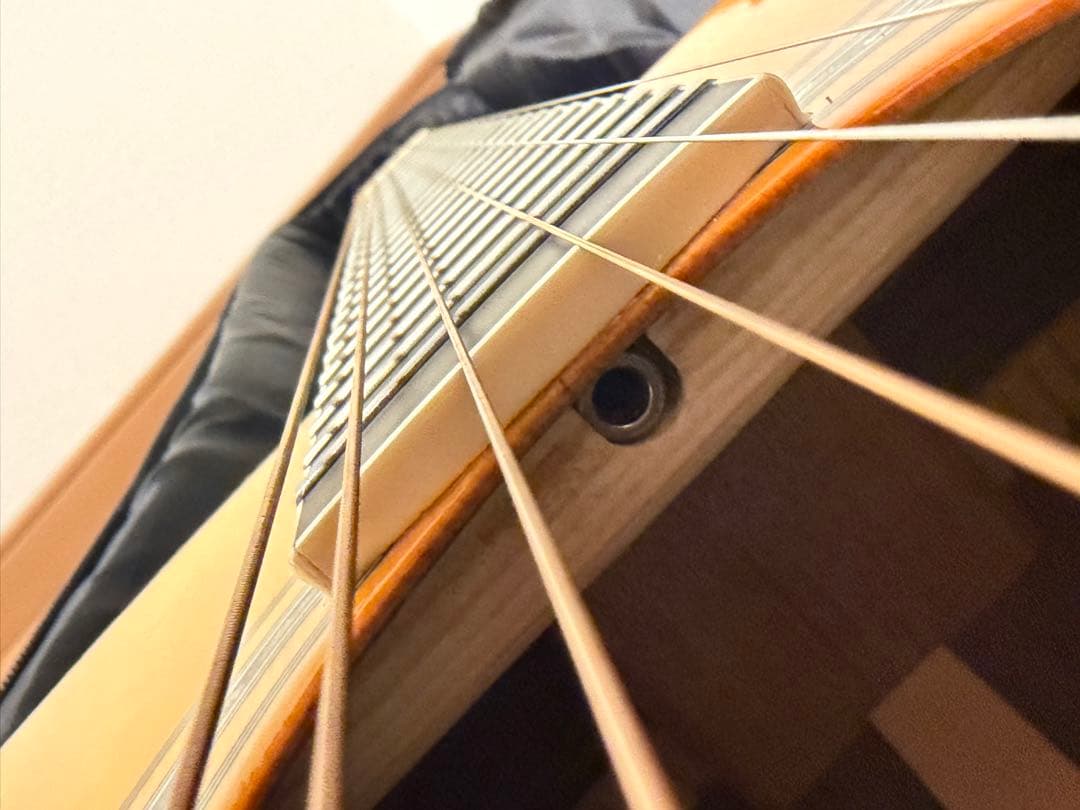 【新品】Three S W-460 スプルース単板 SUZUKI D-45コピー