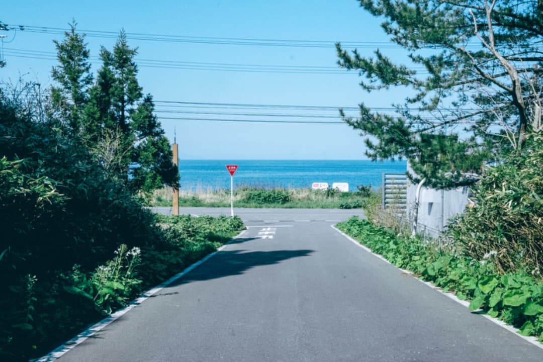 ★極上美品★ニコン NIKON Zfc 本体➕ カメラ用カメラグリップ