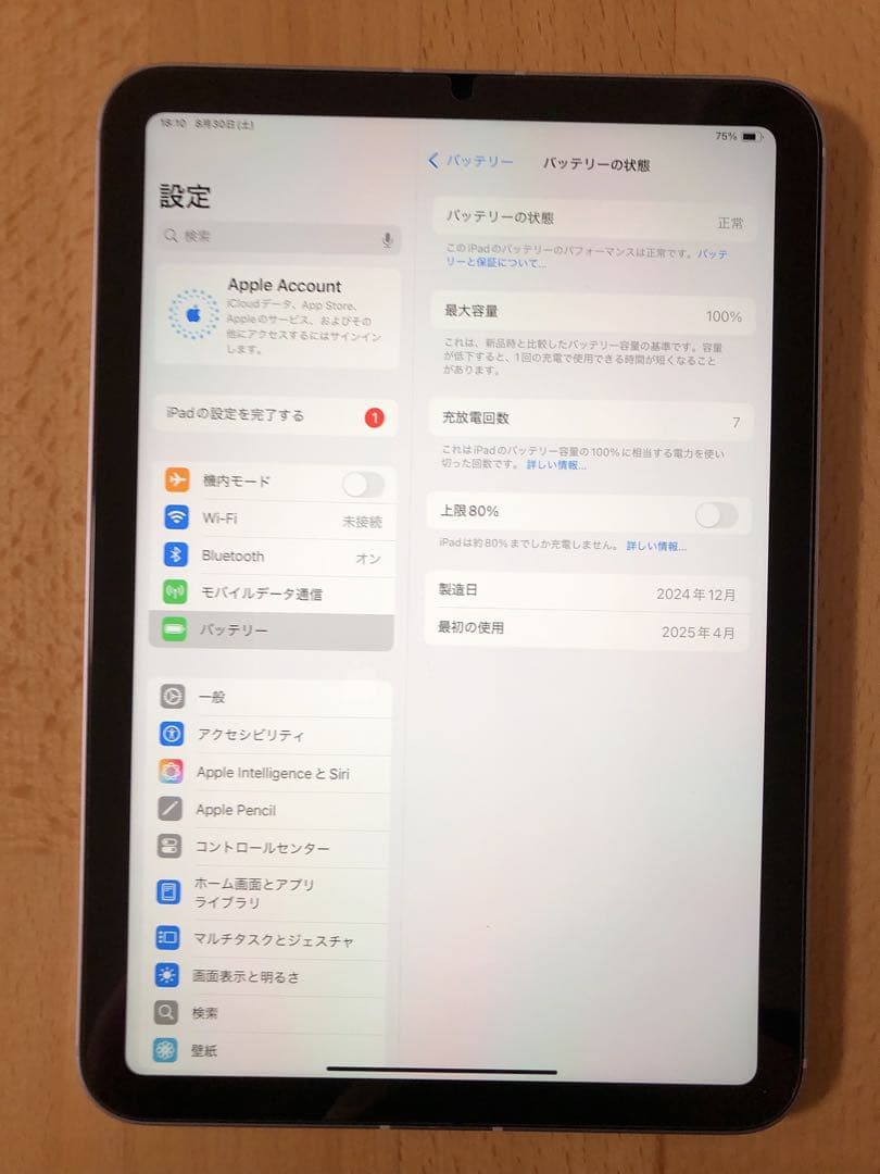iPad mini (第7世代A17 pro) Cellular 256GB