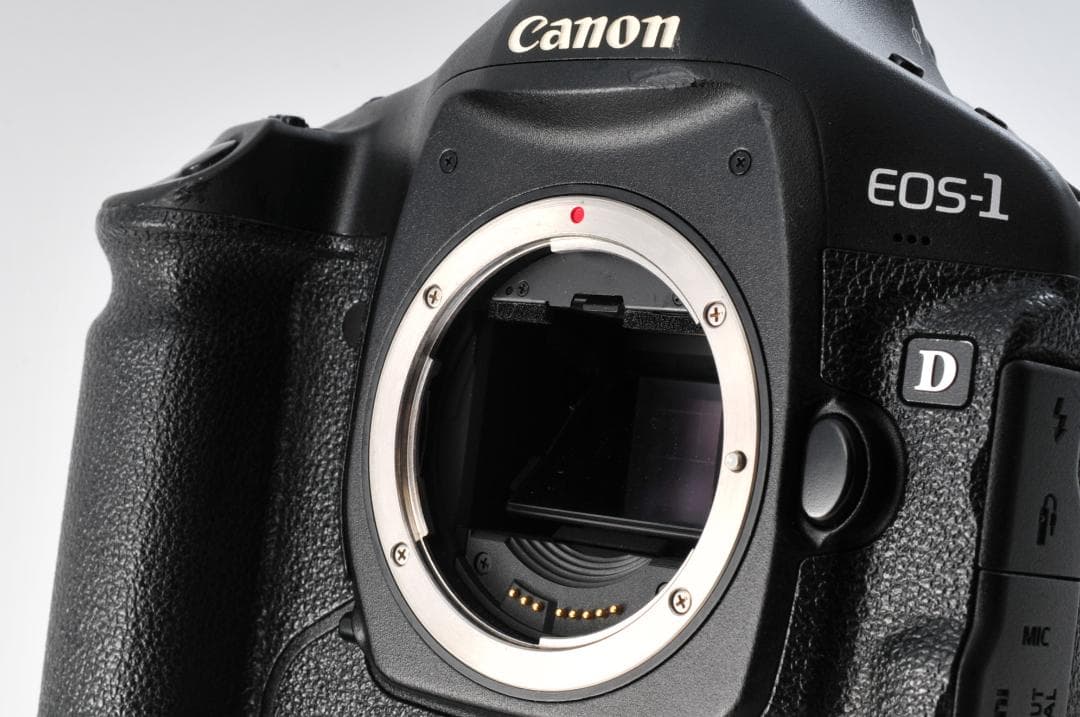 Canon キヤノン EOS-1D Mark IV Ⅳ ボディ ① #1348