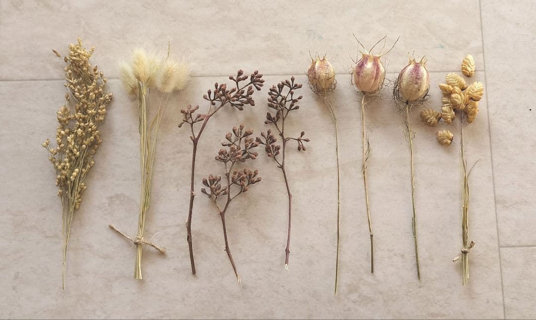 ミニサイズのドライフラワー　小箱No.１８６　セピア　茎つき