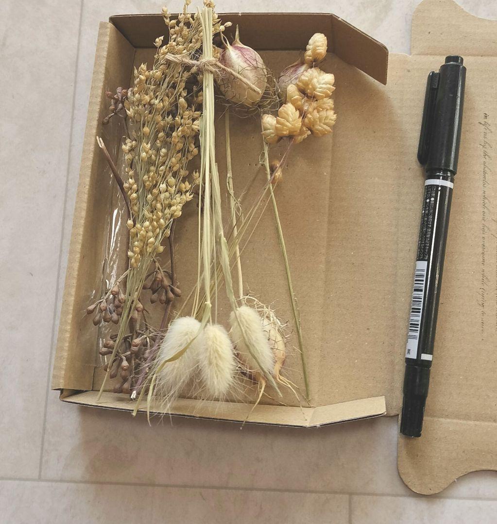 ミニサイズのドライフラワー　小箱No.１８６　セピア　茎つき