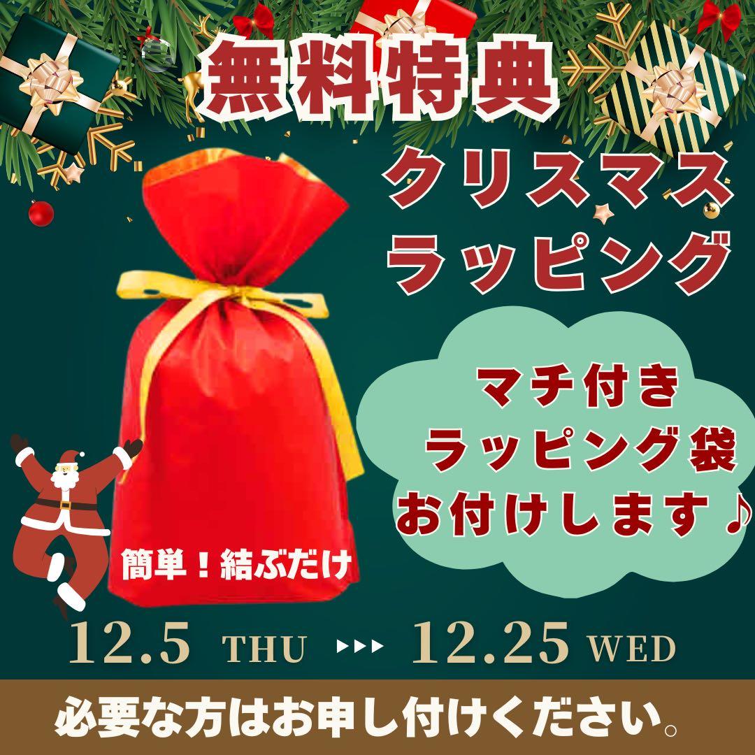 B 電池90% iPad mini 6 グレイ　512 GB Wi-Fi 本体