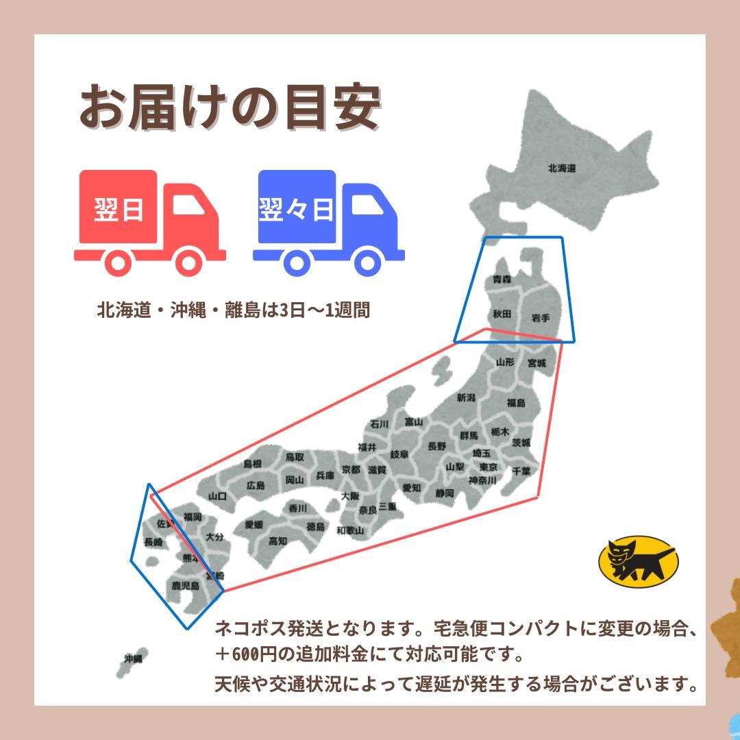 B 電池90% iPad mini 6 グレイ　512 GB Wi-Fi 本体