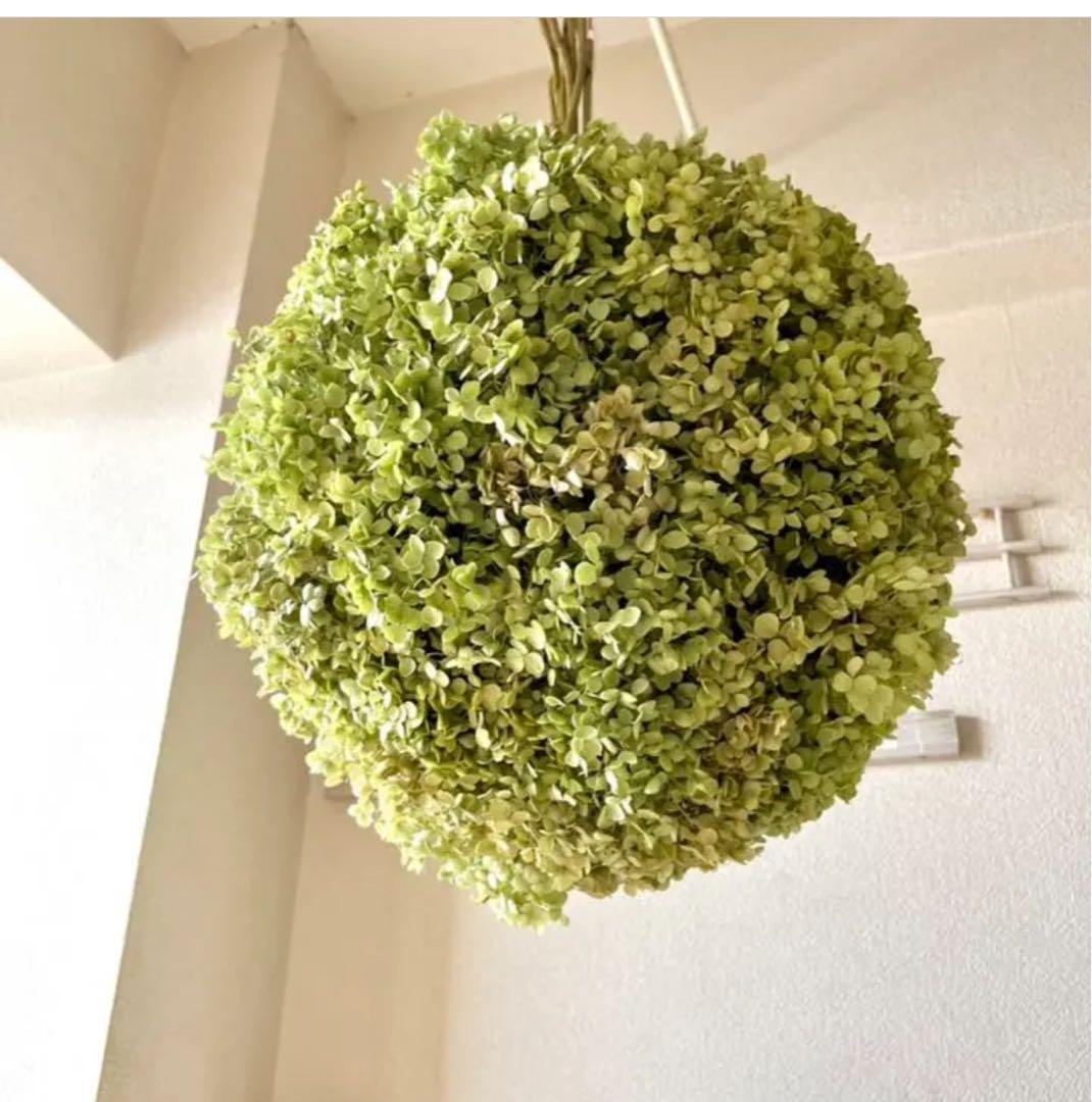 アナベル紫陽花ボールリース　フライングリースフライングスワッグ　スワッグ　ブーケ