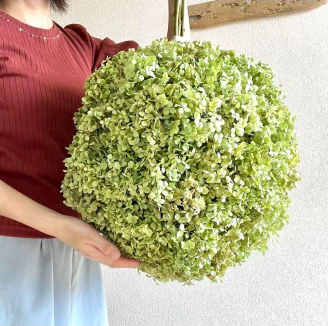 アナベル紫陽花ボールリース　フライングリースフライングスワッグ　スワッグ　ブーケ