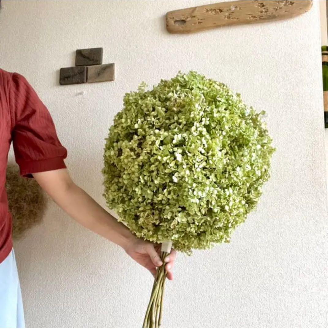 アナベル紫陽花ボールリース　フライングリースフライングスワッグ　スワッグ　ブーケ