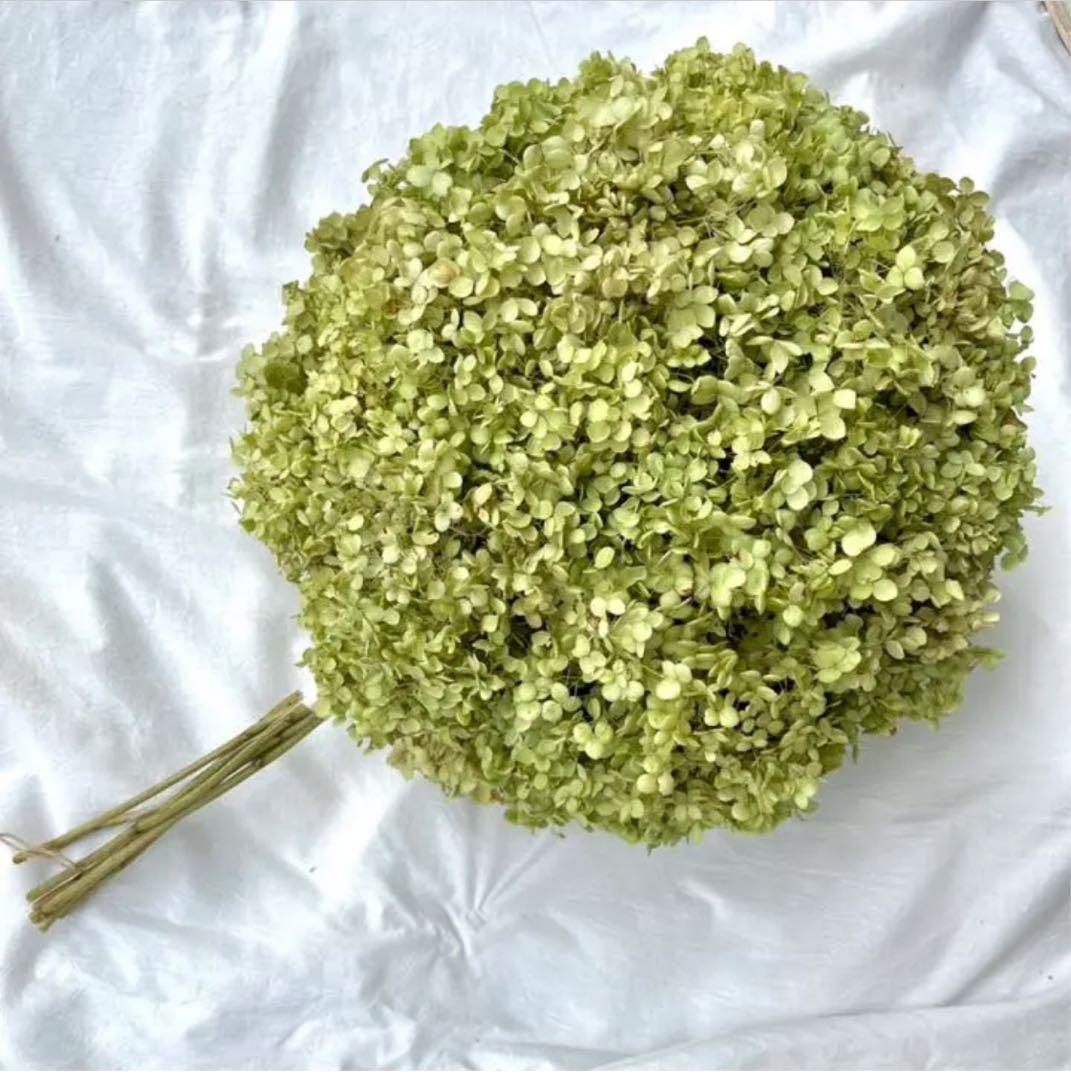 アナベル紫陽花ボールリース　フライングリースフライングスワッグ　スワッグ　ブーケ