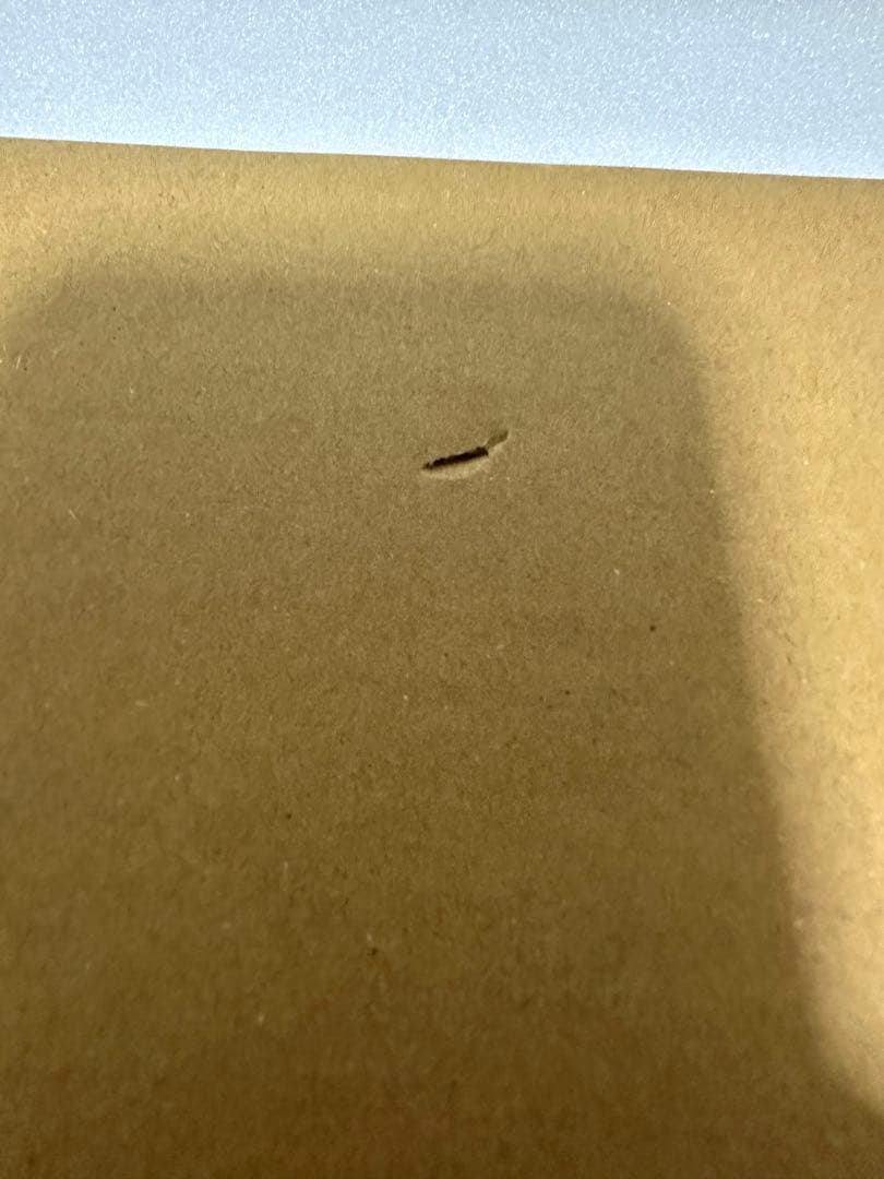 WHITE SCORPION CHOCO NAVI 最初期　直筆サイン