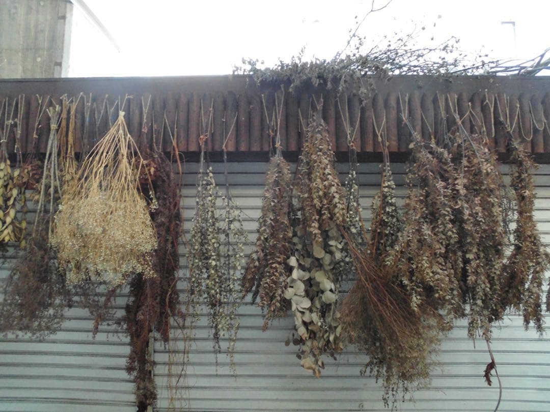 【作例あり】CASIO EXILIM EX-ZS35 CCDセンサー コンデジ