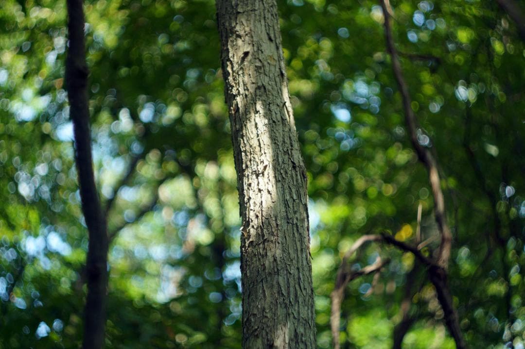 18　未使用　デッドストック希少後期型　ヘリオス　44-2ぐるぐるボケレンズ