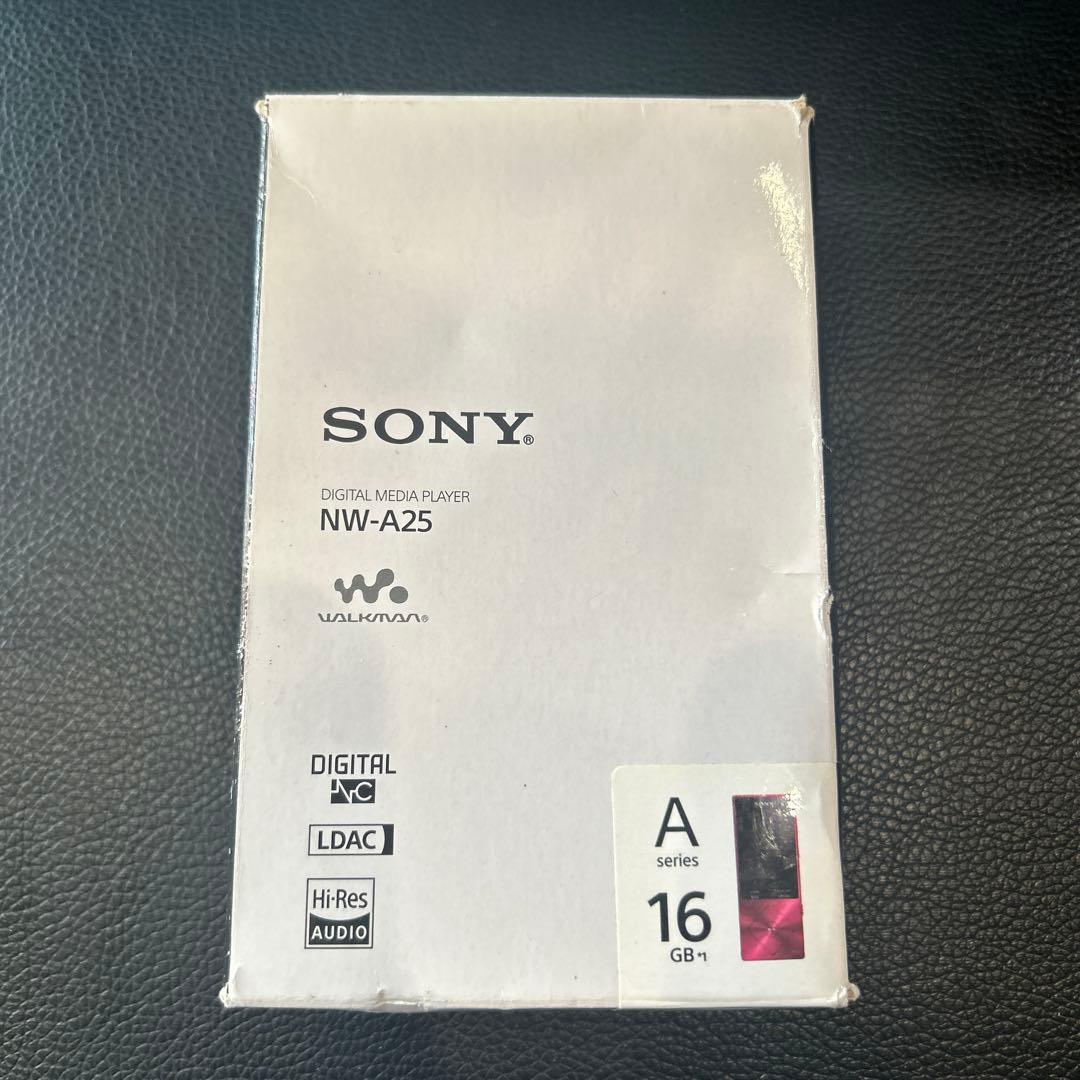 SONY NW-A25 ワークマン