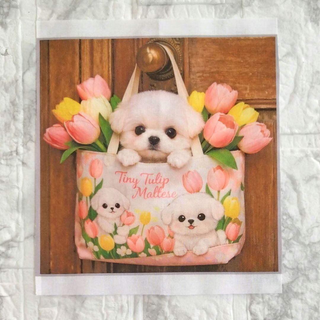 理恵ちん様　ドリンクホルダー　犬パネル　マルチーズ