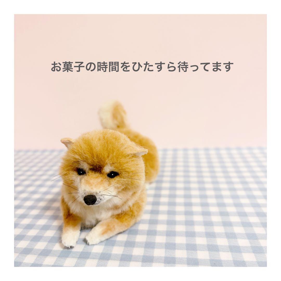 ■送料無料■羊毛フェルト柴犬｜柴犬｜豆柴｜手のりサイズ｜カスタムブライス