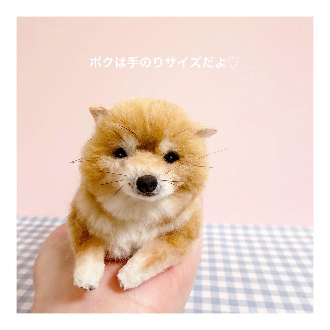 ■送料無料■羊毛フェルト柴犬｜柴犬｜豆柴｜手のりサイズ｜カスタムブライス