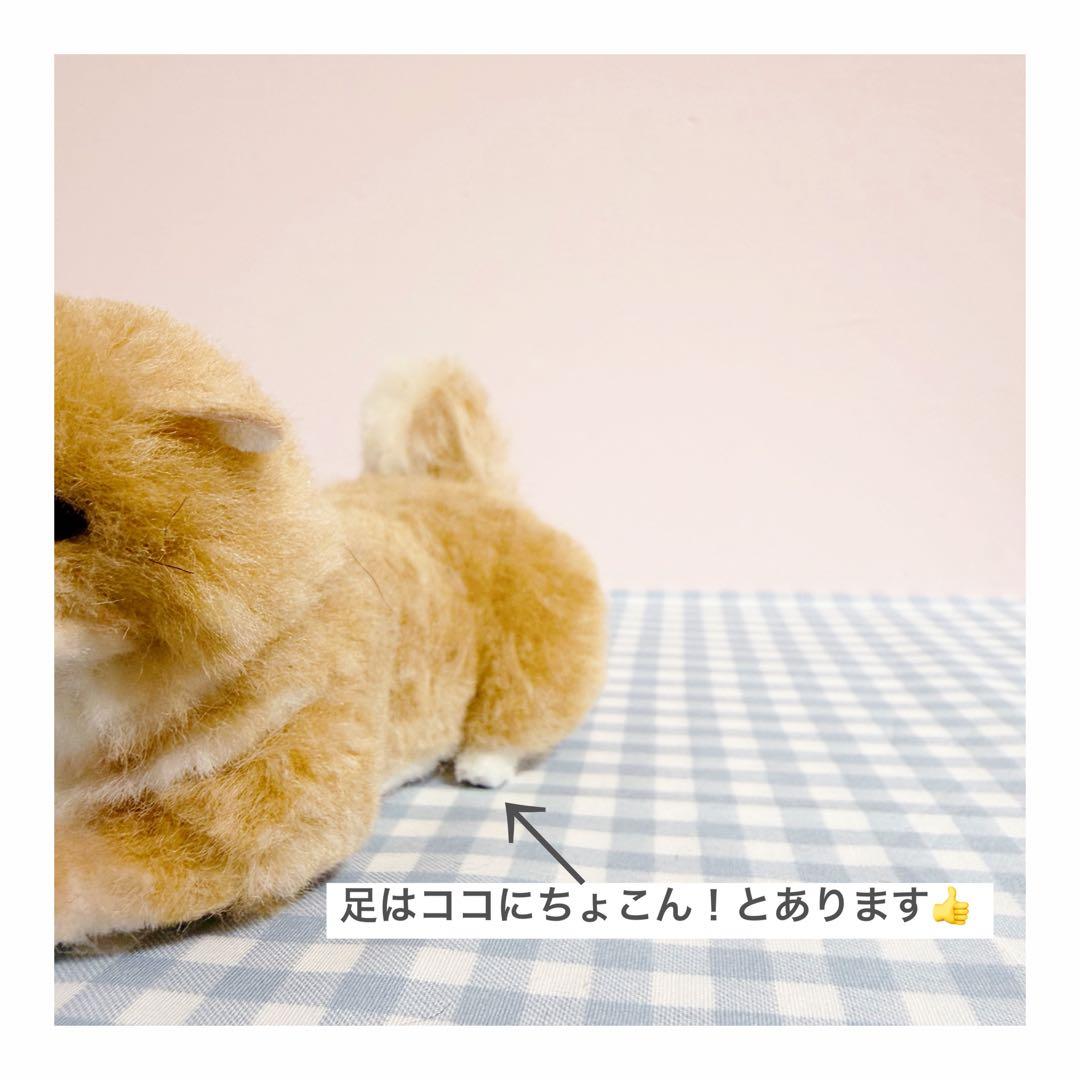■送料無料■羊毛フェルト柴犬｜柴犬｜豆柴｜手のりサイズ｜カスタムブライス