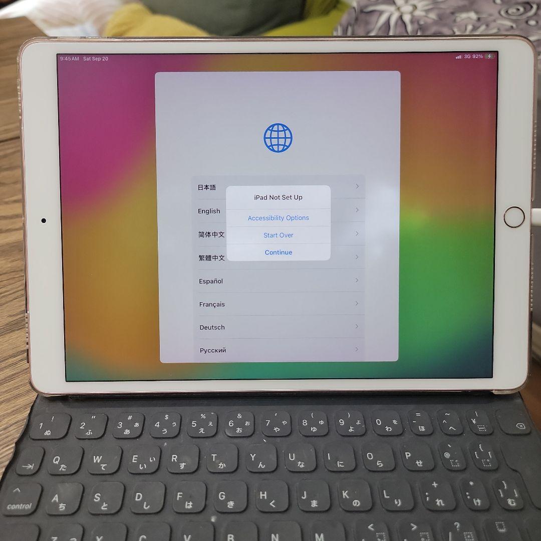 ジャンク　 iPadpro 256セルラーペンシルおまけ外装たぶん綺麗