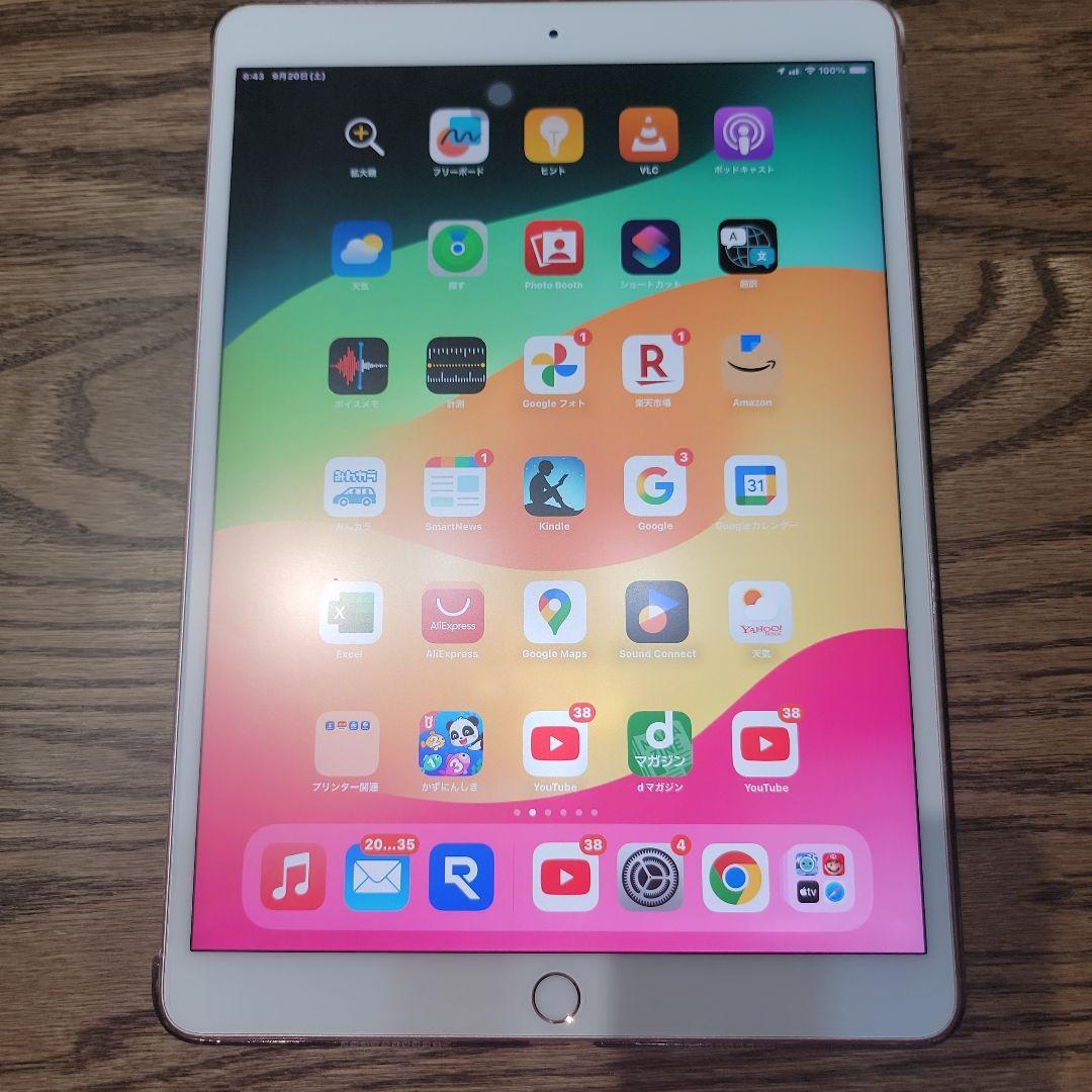 ジャンク　 iPadpro 256セルラーペンシルおまけ外装たぶん綺麗