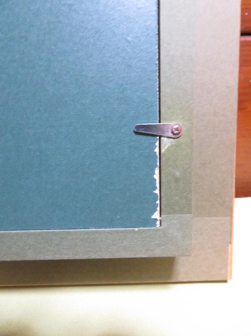 高橋幸恵　「カルイキビンナネコ」油彩SM　一枚の絵　幻想派　可愛い猫モチーフ