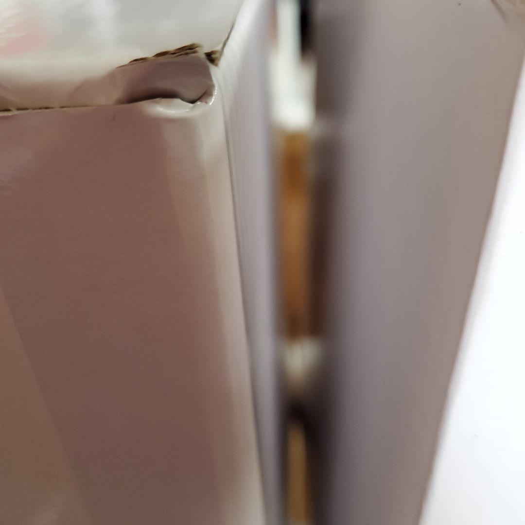 スケーターズスタチュー 　フィギュア 　スケボー