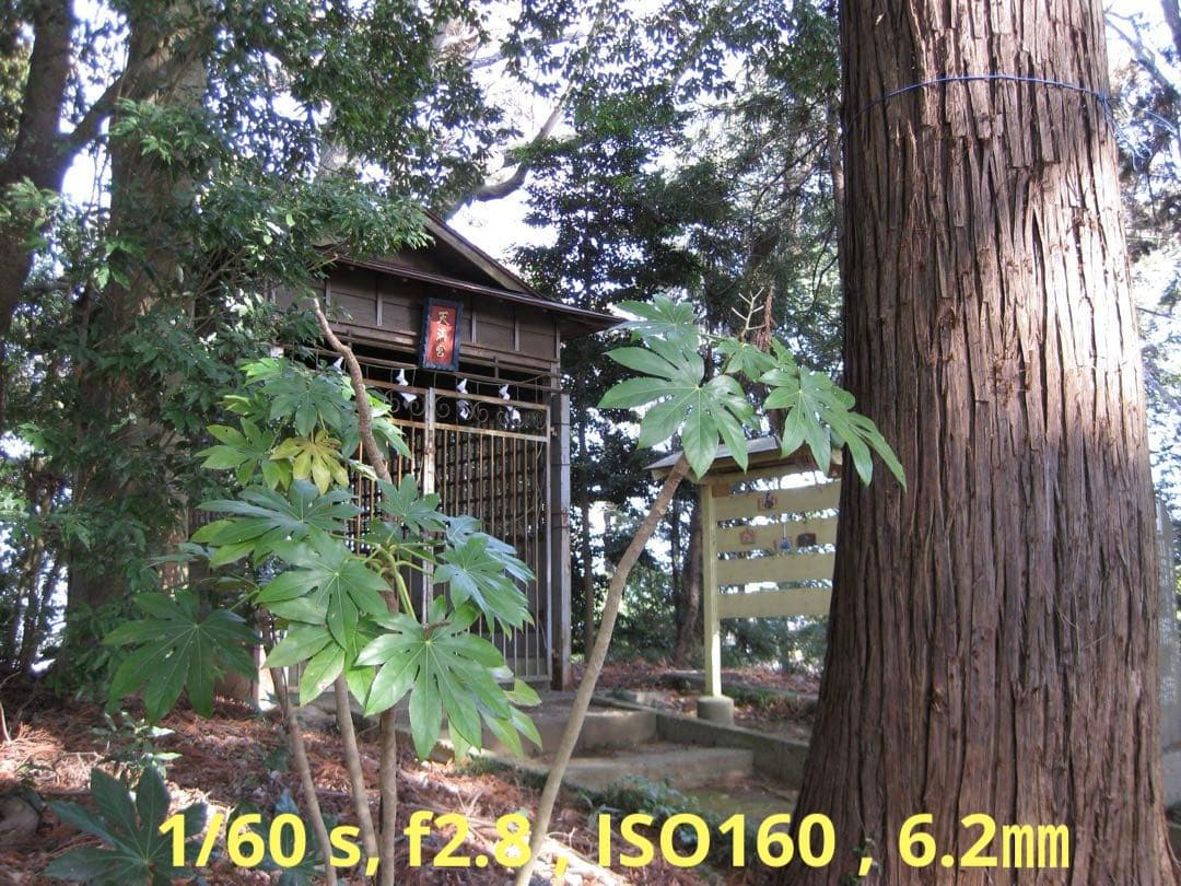 良品 Canon IXY DIGITAL 25 IS シルバー【作例写真有り】