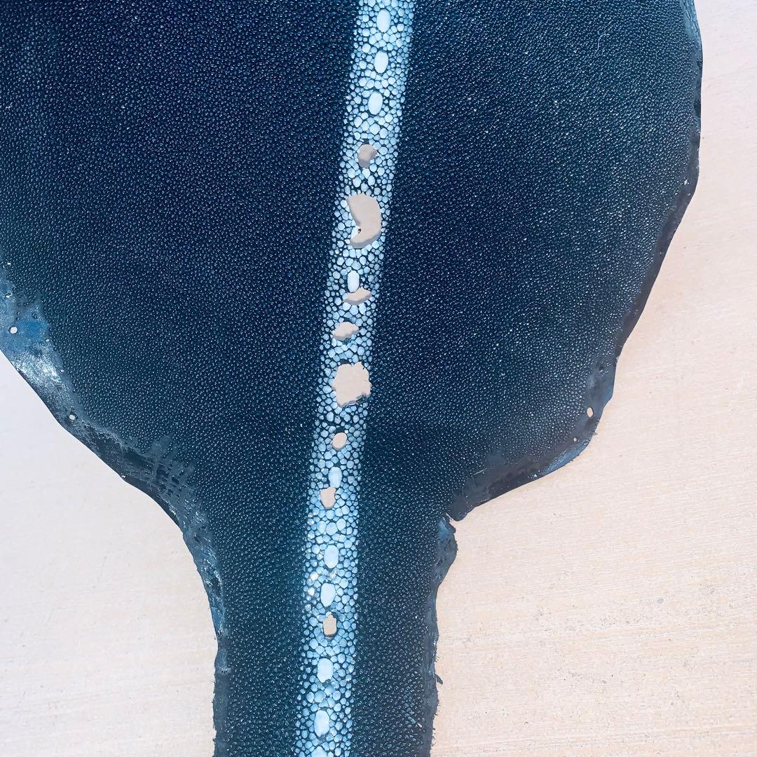 19)エイ革 鮫革 鮫皮 stingray ガルーシャ スティングレイ