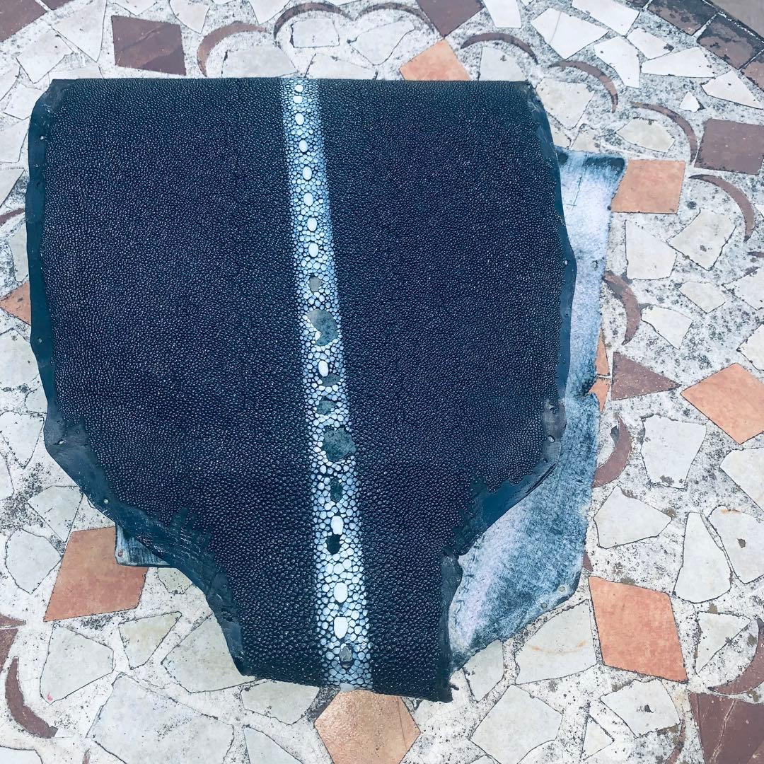 19)エイ革 鮫革 鮫皮 stingray ガルーシャ スティングレイ