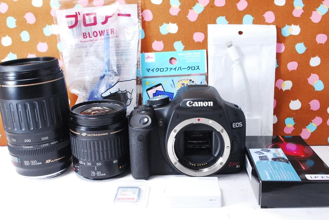✨美品✨ショット数1993回✨Canon Kiss X3 ダブルレンズセット