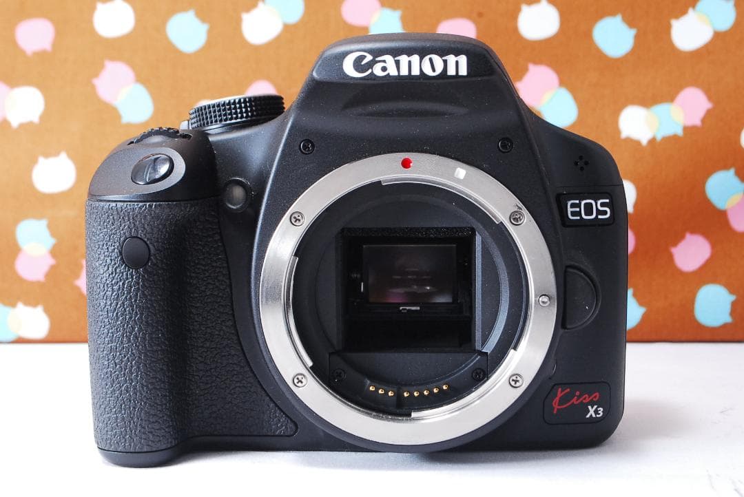 ✨美品✨ショット数1993回✨Canon Kiss X3 ダブルレンズセット