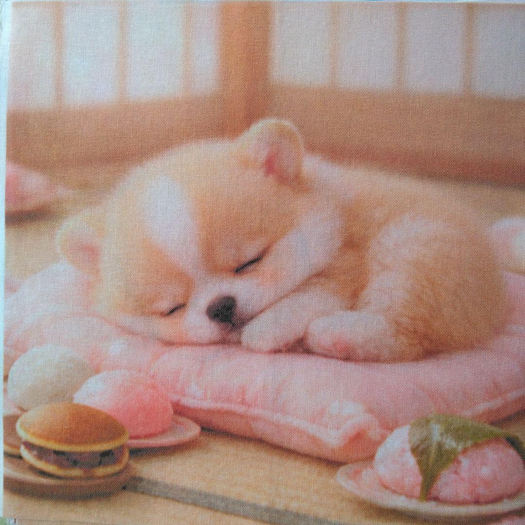☆受付☆犬ちゃん色々