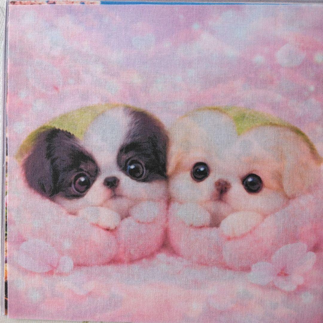 ☆受付☆犬ちゃん色々