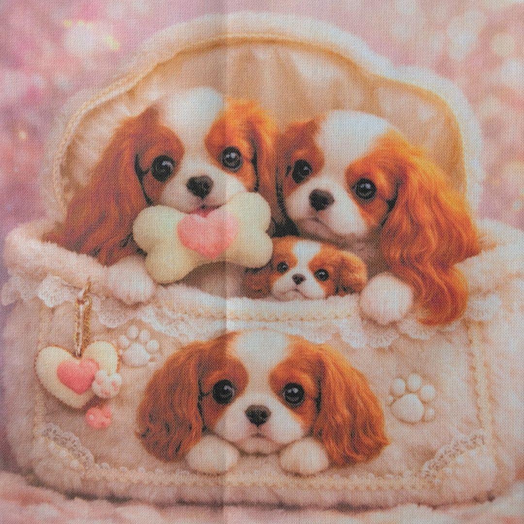 ☆受付☆犬ちゃん色々