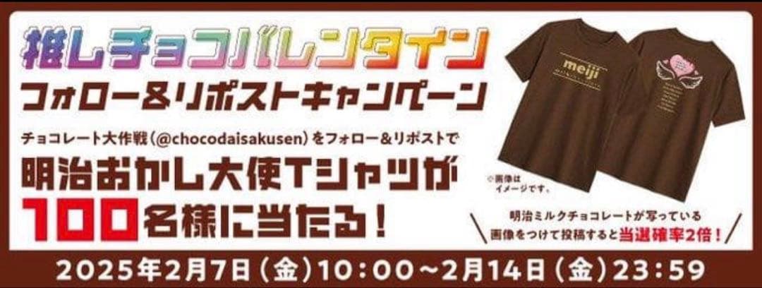 FRUITS ZIPPER 明治おかし大使 Tシャツ Lサイズ