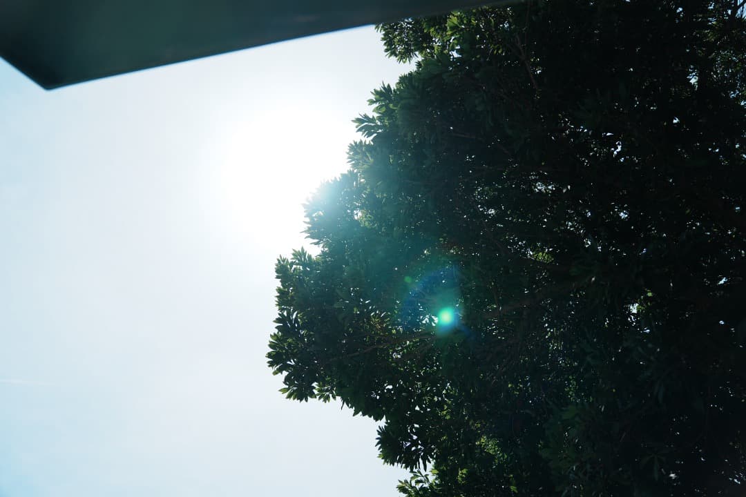 極美品 SONY FE24-70mm F2.8 GM SEL2470GM 28