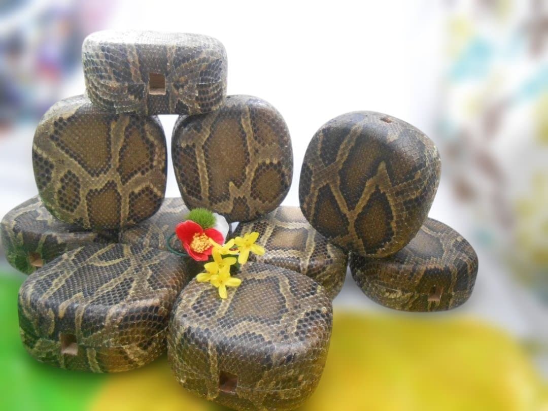 現品販売(送料無料)13.980円　沖縄三線専用　蛇皮強化胴10個からお一つ選択