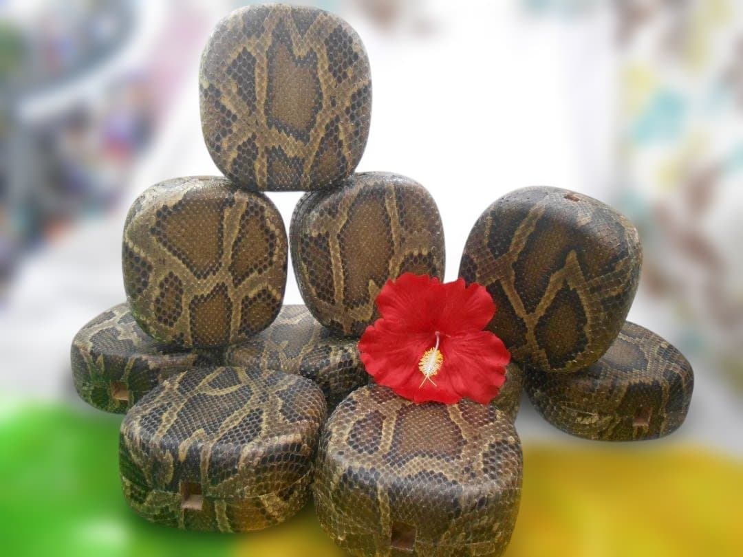 現品販売(送料無料)13.980円　沖縄三線専用　蛇皮強化胴10個からお一つ選択