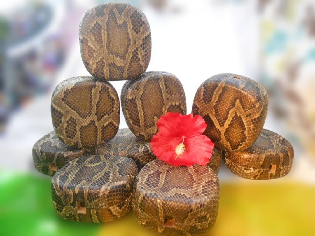 現品販売(送料無料)13.980円　沖縄三線専用　蛇皮強化胴10個からお一つ選択