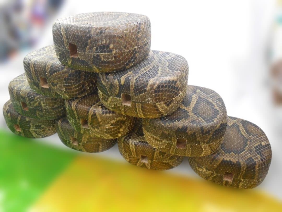 現品販売(送料無料)13.980円　沖縄三線専用　蛇皮強化胴10個からお一つ選択