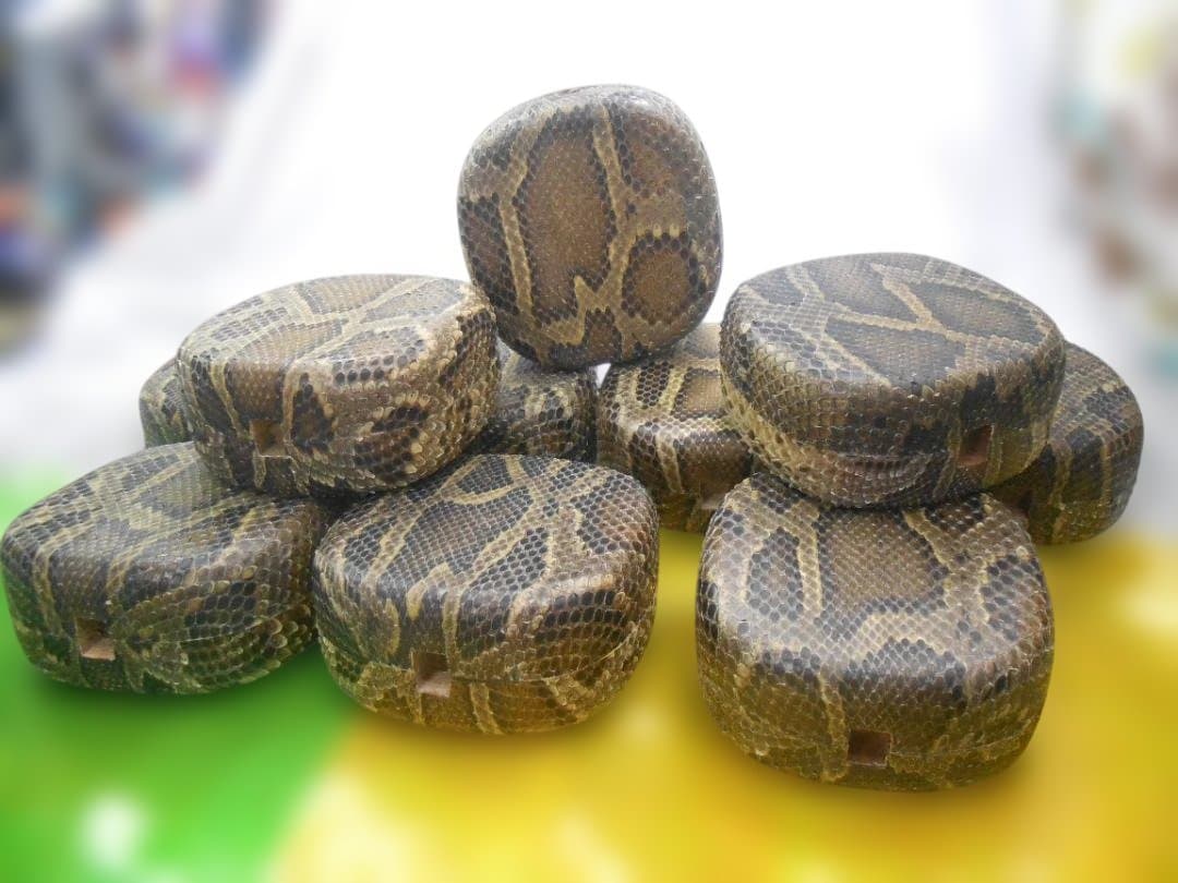 現品販売(送料無料)13.980円　沖縄三線専用　蛇皮強化胴10個からお一つ選択